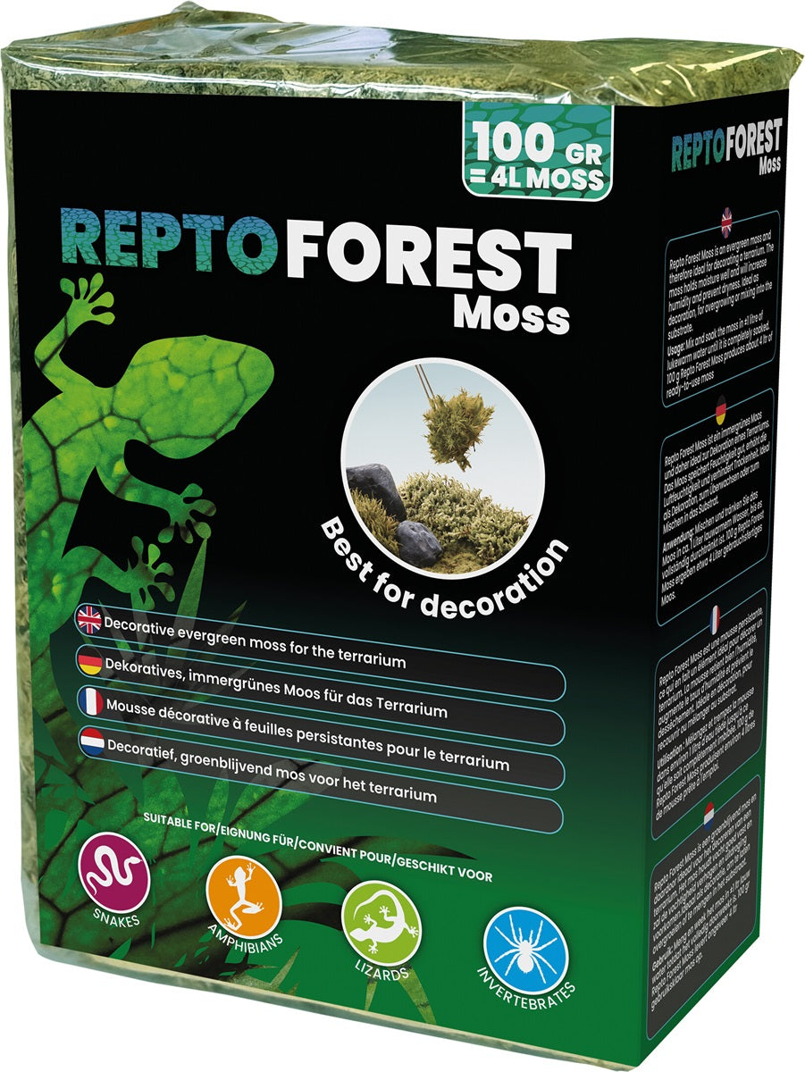REPTO Forest Moos 100 gramm