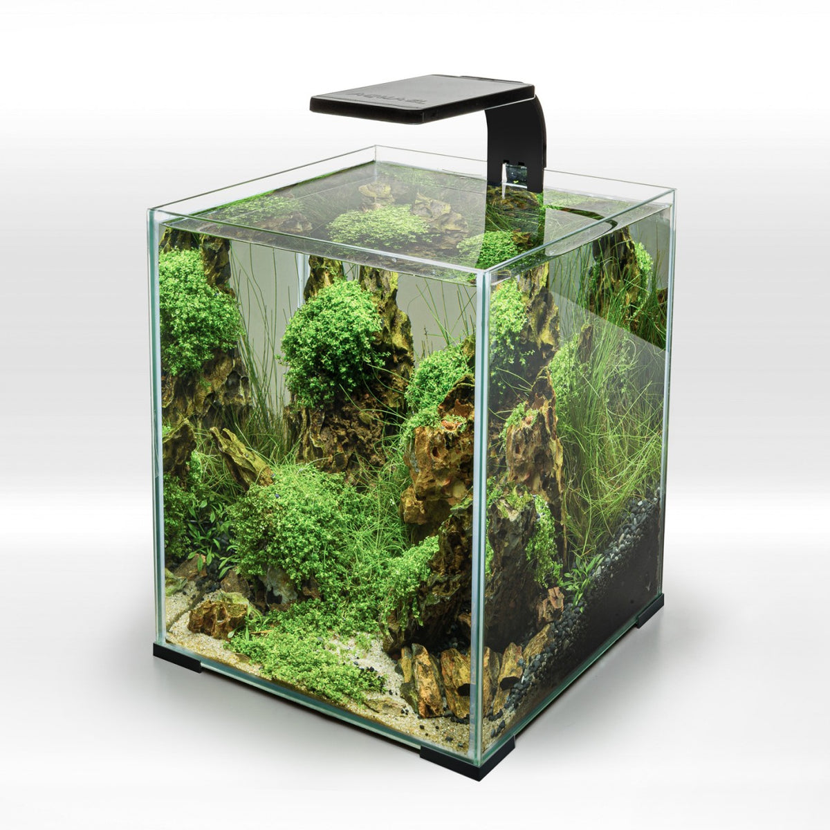 LEDDY SMART SUNNY Day&Night Aquarium LED Schwarz