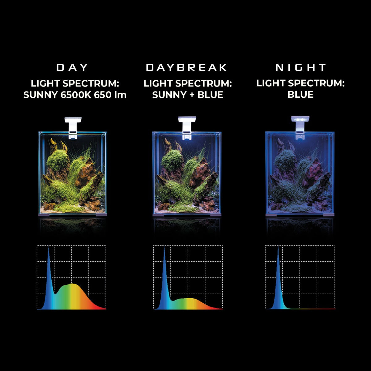 LEDDY SMART SUNNY Day&Night Aquarium LED Schwarz