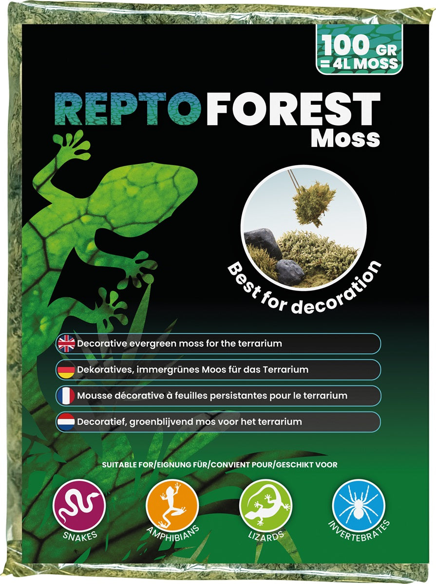 REPTO Forest Moos 100 gramm