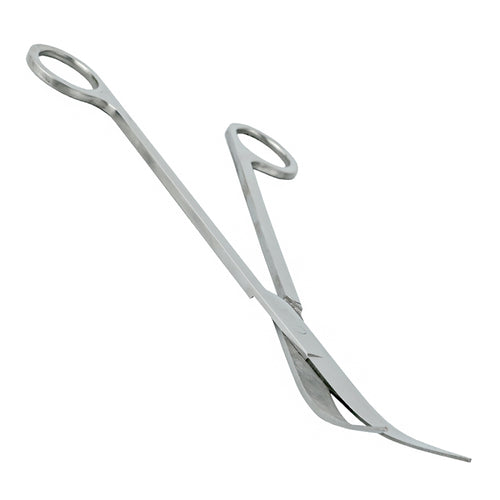Aqua Nova Schere gebogen 25 cm