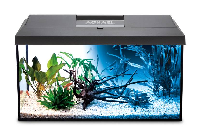 LEDDY DAY&NIGHT 60 Aquarium Set Schwarz