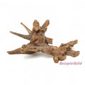 Bloodwood S