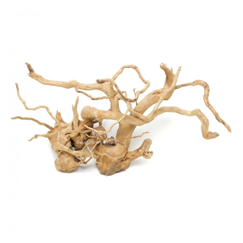 Moorwurzel - Spiderwood Medium/Large