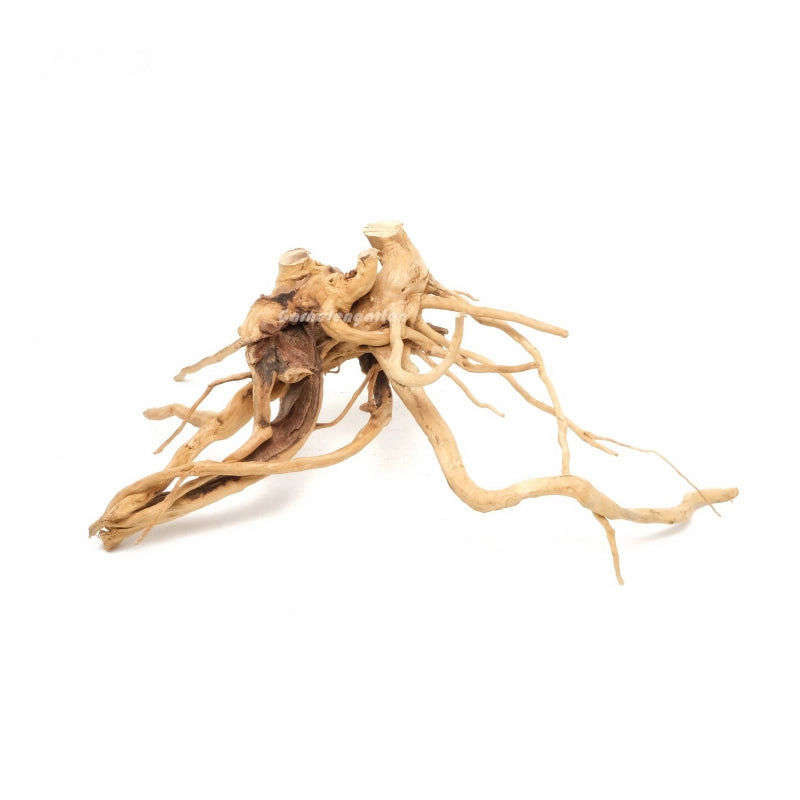 Moorwurzel - Spiderwood Medium/Large