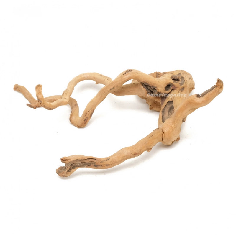 Moorwurzel - Spiderwood Medium/Large