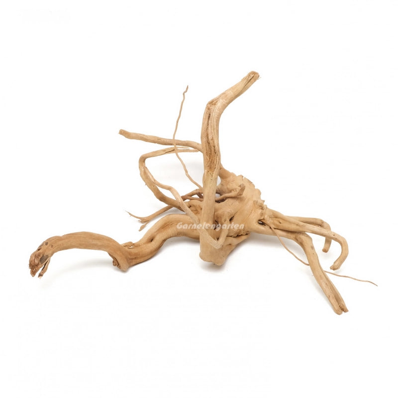 Moorwurzel - Spiderwood Medium/Large