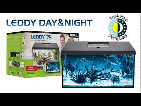 LEDDY DAY&NIGHT 60 Aquarium Set Schwarz