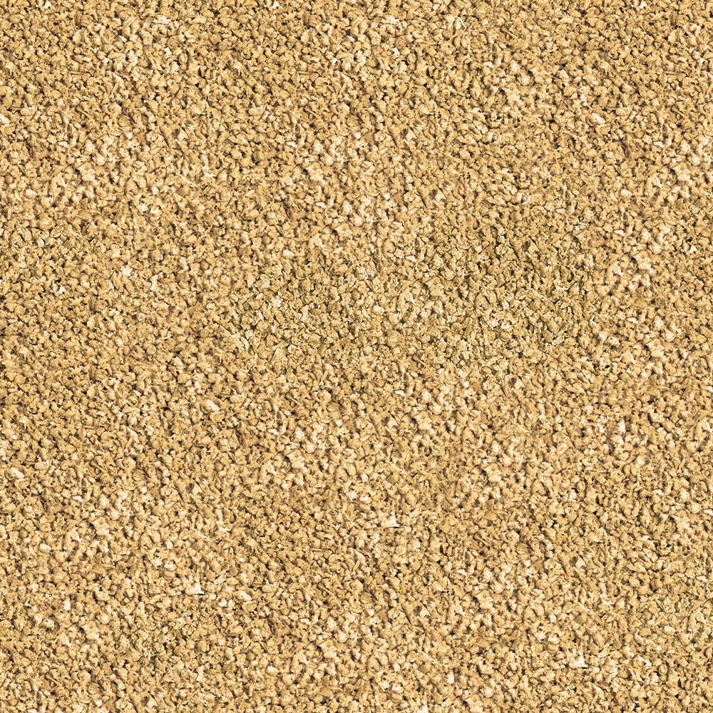 Sera Betta Granules 50ml (24g)