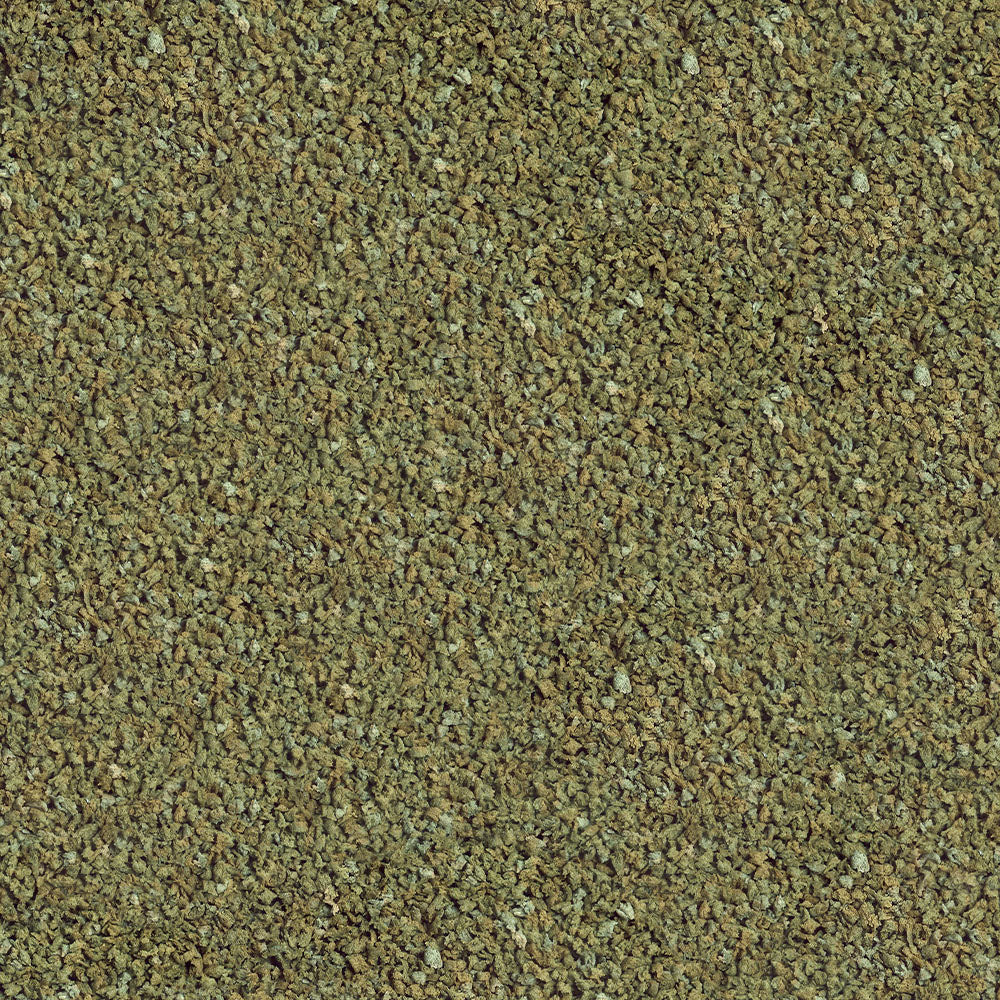 Sera Guppy Granules 100ml (46g)
